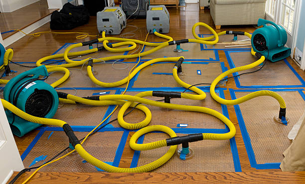 Professional Flood Damage Restoration technician working in Peotone, IL